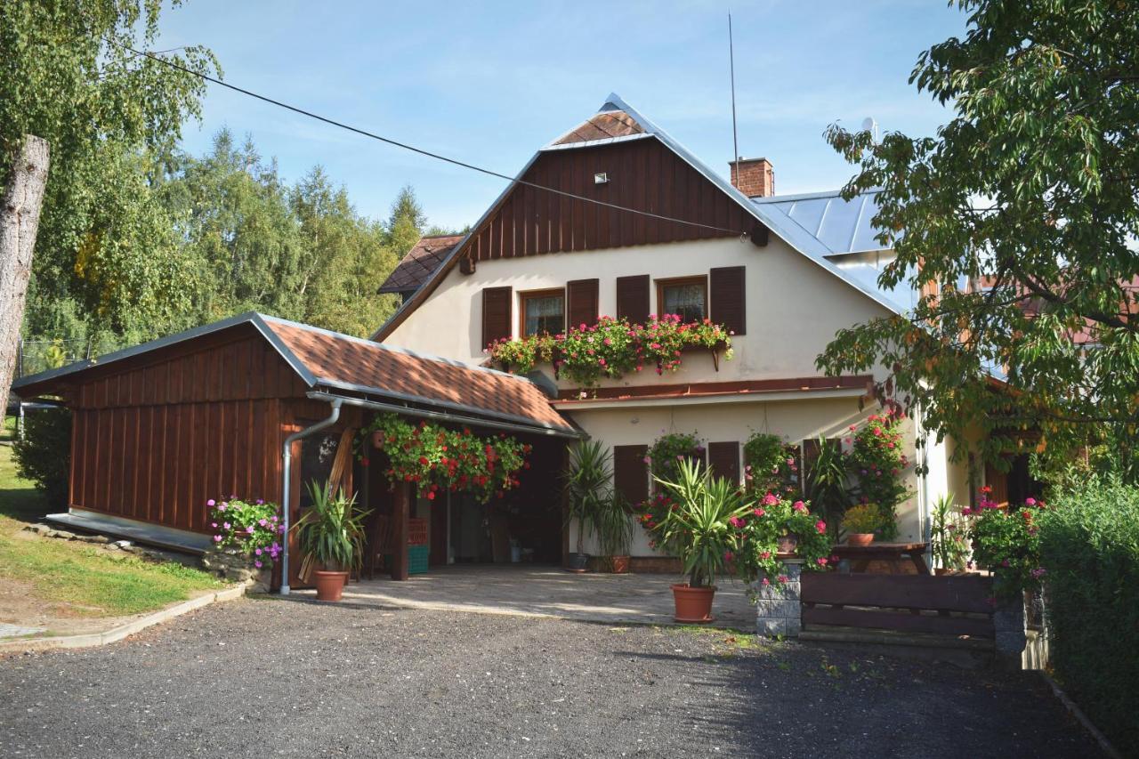 Pension Ivanka Jestrabi V Krkonosich Exterior photo