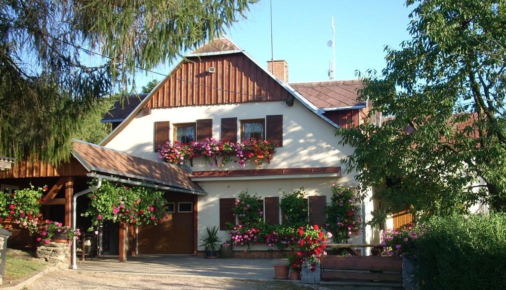 Pension Ivanka Jestrabi V Krkonosich Exterior photo